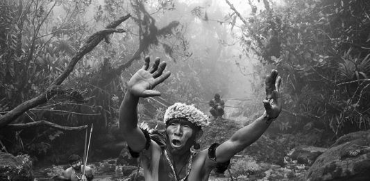 L’Amazônia di Sebastião Salgado in mostra al Salone degli Incanti di Trieste