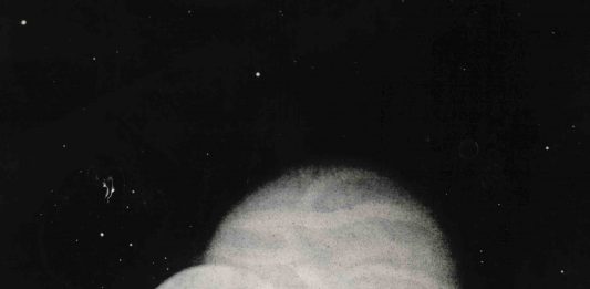 L’uso non convenzionale della fotografia nella ricerca di Fiona Annis. La mostra a Ferrara