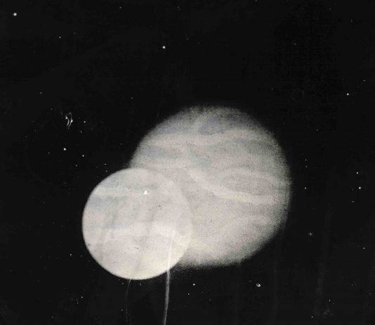 L’uso non convenzionale della fotografia nella ricerca di Fiona Annis. La mostra a Ferrara