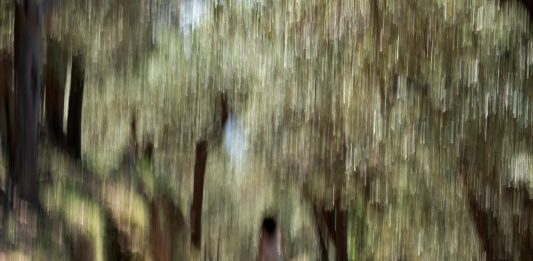 Fotografare per sottrazione: ritratti di Cesare Accetta da Al Blu di Prussia, Napoli