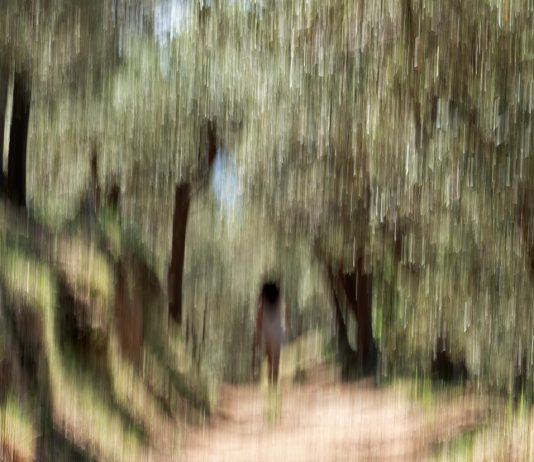 Fotografare per sottrazione: ritratti di Cesare Accetta da Al Blu di Prussia, Napoli