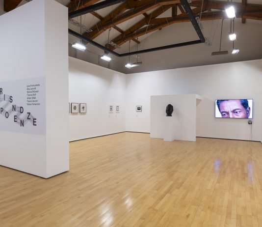 FMAV Fondazione Modena Arti Visive: presentato il programma espositivo per la primavera