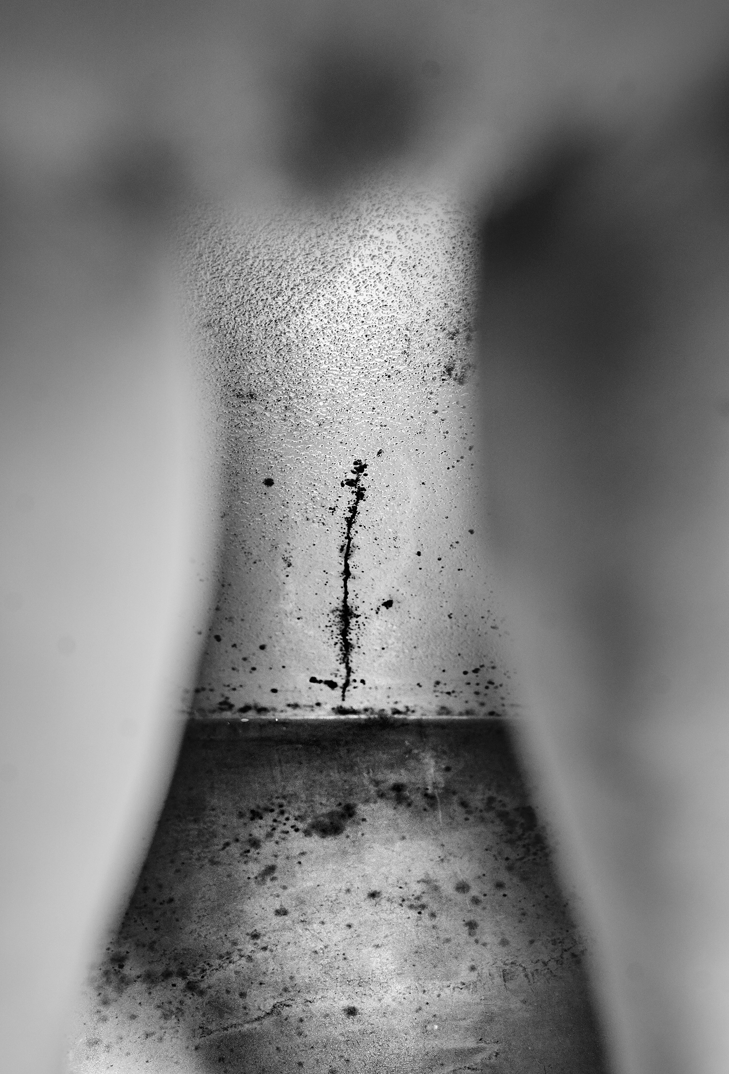 Sine Fine _ Charlotte Lartilleux 2020