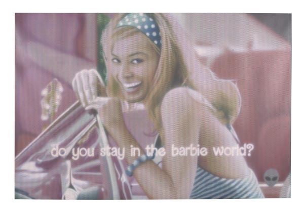 Do-you-stay-in-the-Barbie-world