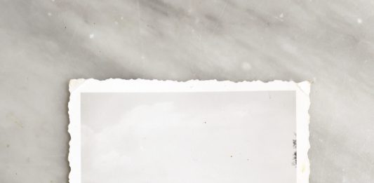 Alessandra Ferrini, un’inquietante genealogia al Museo Novecento di Firenze