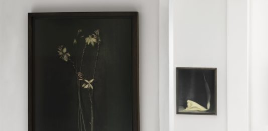 È solo un fiore? Ingar Krauss torna a Roma con la mostra “Deep Blossom”