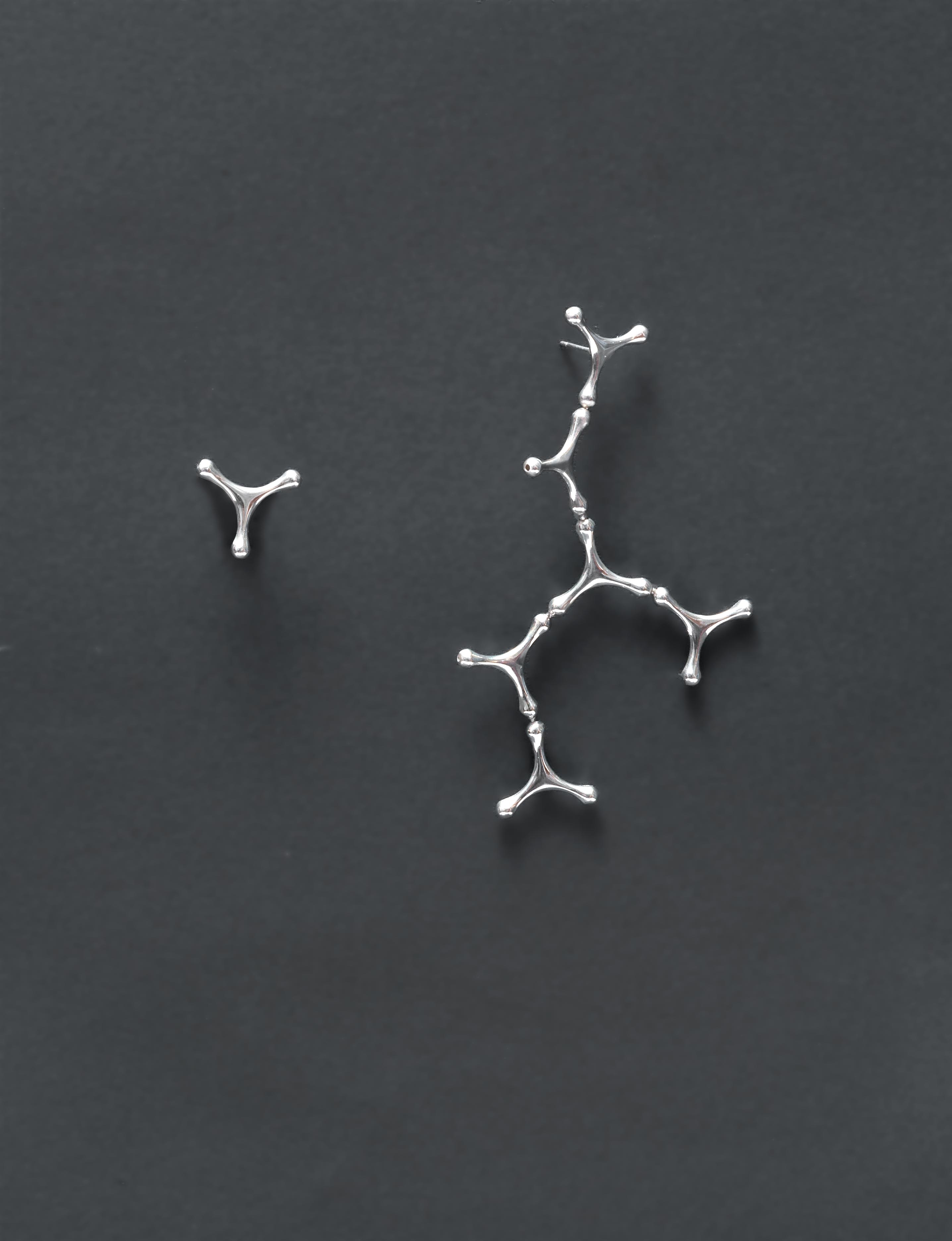 Loris Cecchini, Waterbones (sequence 7), 2024, orecchini, argento