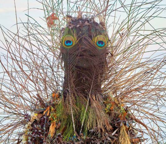 Danza, teatro e arti performative accendono il Festival di Spoleto 2024