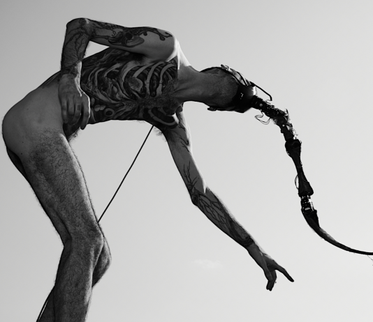 Artisti, cyborg, mostri. Chimere