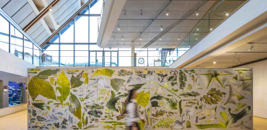 Postnatural gardening Pratiche ecologiche per una cura interspecie dal 9 marzo al 28 aprile al MUSE – Museo delle Scienze di Trento