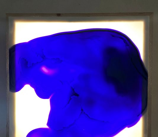 LUX AUREA | Nicola Boccini in mostra alla Galleria Di Paolo Arte di Bologna