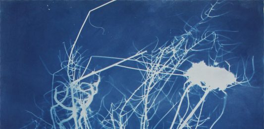 Lina Selander, l’enigma dell’immagine in mostra da Tiziana Di Caro, Napoli Lina Selander, herbarium #23