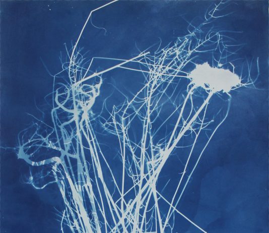 Lina Selander, l’enigma dell’immagine in mostra da Tiziana Di Caro, Napoli Lina Selander, herbarium #23