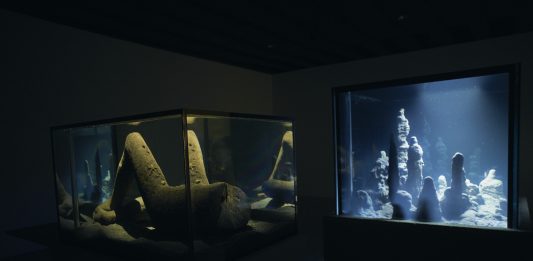 Liminal: Pierre Huyghe trasforma Punta della Dogana in un mondo altro