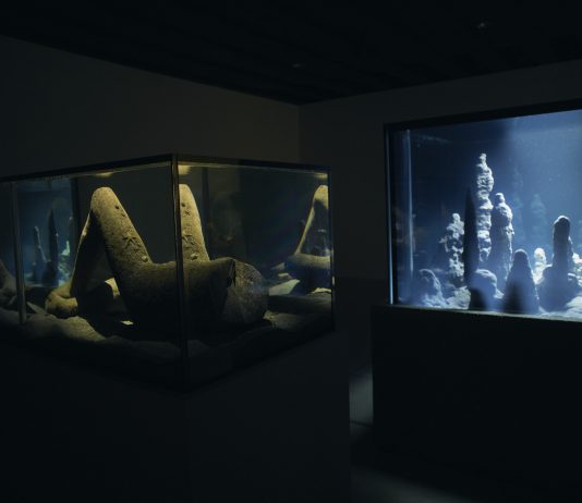 Liminal: Pierre Huyghe trasforma Punta della Dogana in un mondo altro