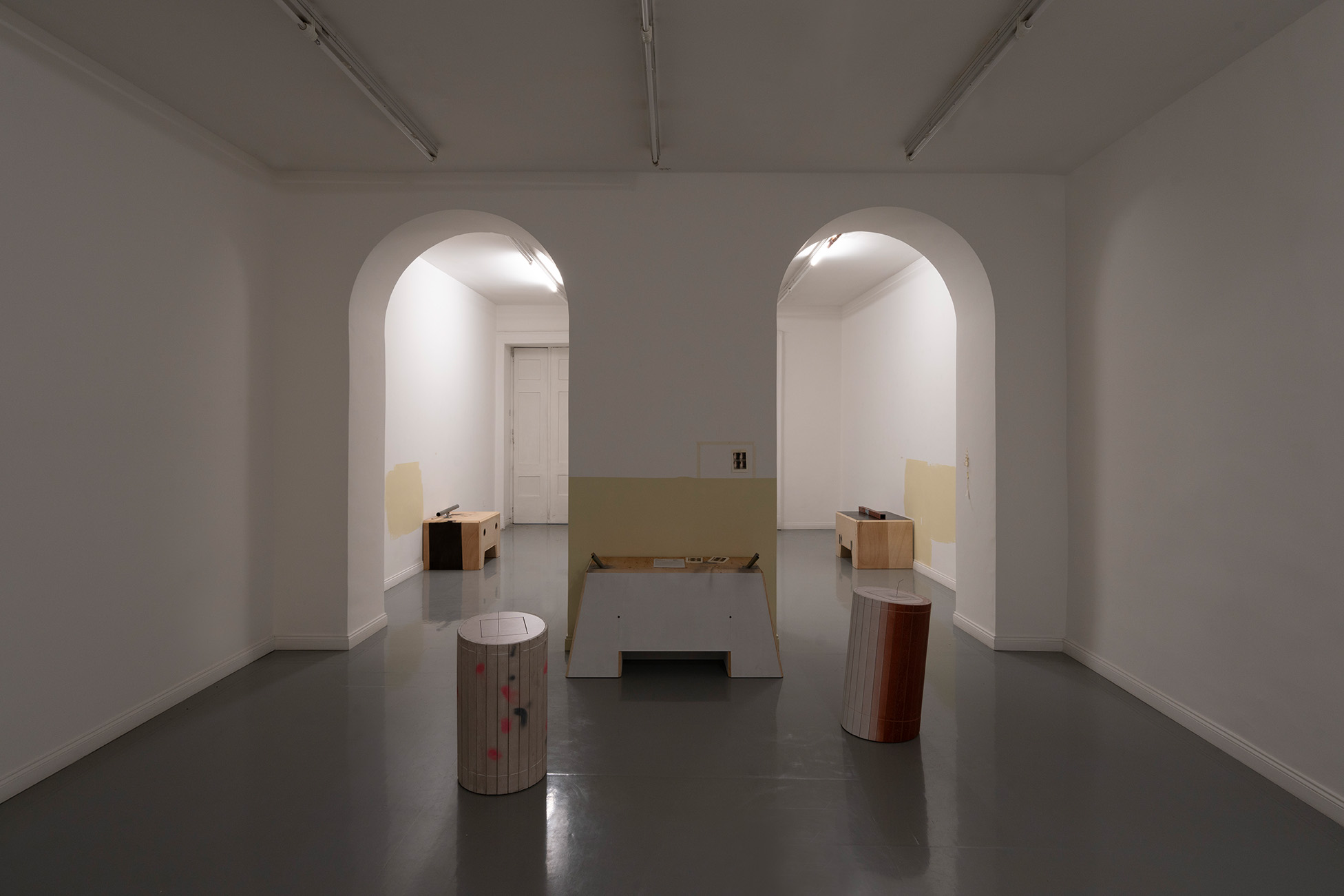 manfred pernice fonti