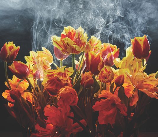 Torino diventa un centro della fotografia, con il nuovo festival Exposed e The Phair