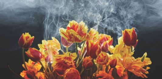 Al via EXPOSED Torino Foto Festival New Landscapes – Nuovi Paesaggi è il titolo della prima edizione dal 2 maggio al 2 giugno 2024