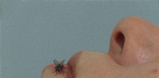 Tutte le volte che la mosca è entrata nella storia dell’arte