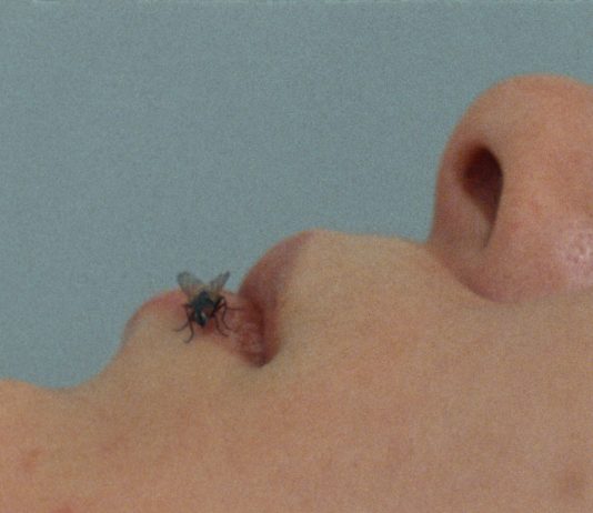 Tutte le volte che la mosca è entrata nella storia dell’arte