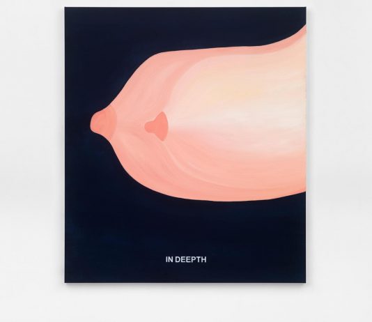 “Breasts”: un racconto sul seno a Palazzo Franchetti