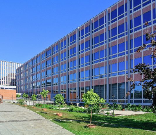 Presente e futuro delle relazioni culturali tra Italia e Africa: la conferenza a Roma