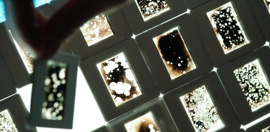 CYFEST 15: arriva a Venezia il Festival Internazionale di Media Art