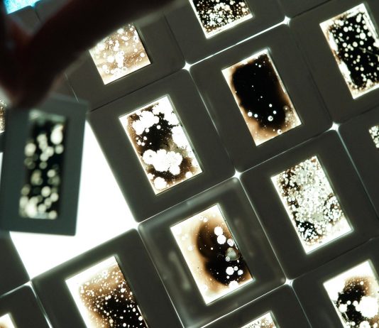 CYFEST 15: arriva a Venezia il Festival Internazionale di Media Art