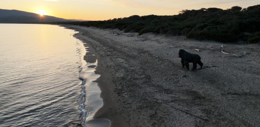 Hypermaremma, due nuovi appuntamenti da scoprire, con Davide Rivalta e Gaetano Pompa