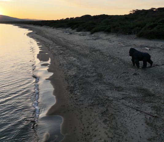 Hypermaremma, due nuovi appuntamenti da scoprire, con Davide Rivalta e Gaetano Pompa