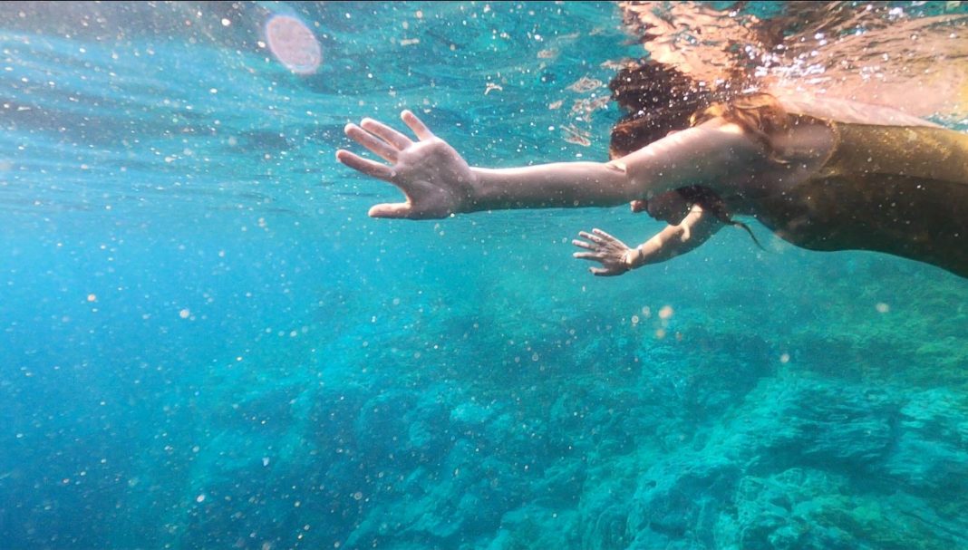 Mariagrazia Pontorno, Nobilis Golden Moon, 2020, still da frame. Courtesy: l’artista