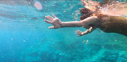 L’importanza di essere acqua: Nobilis Golden Moon di Mariagrazia Pontorno Mariagrazia Pontorno, Nobilis Golden Moon, 2020, still da frame. Courtesy: l’artista