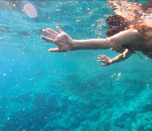 L’importanza di essere acqua: Nobilis Golden Moon di Mariagrazia Pontorno Mariagrazia Pontorno, Nobilis Golden Moon, 2020, still da frame. Courtesy: l’artista