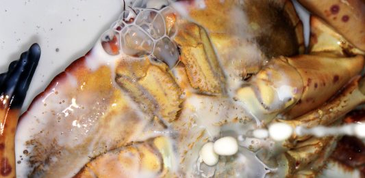 Ibridazioni: la mostra di Sara Scanderebech per exibart digital gallery