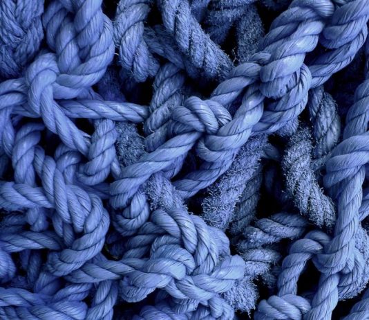 In un battito d’ali di Emanuela Giacco In un battito d'ali Emanuela Giacco