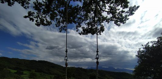 La quercia della memoria: l’omaggio di Casa Sponge all’artista scomparso Massimo Uberti