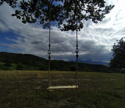 La quercia della memoria: l’omaggio di Casa Sponge all’artista scomparso Massimo Uberti