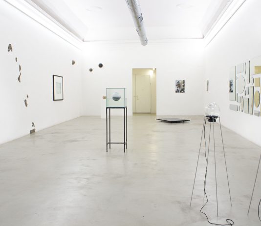 “Metamorfosi. O dello sguardo dell’uomo sulla natura” da LABS Contemporary Art a Bologna