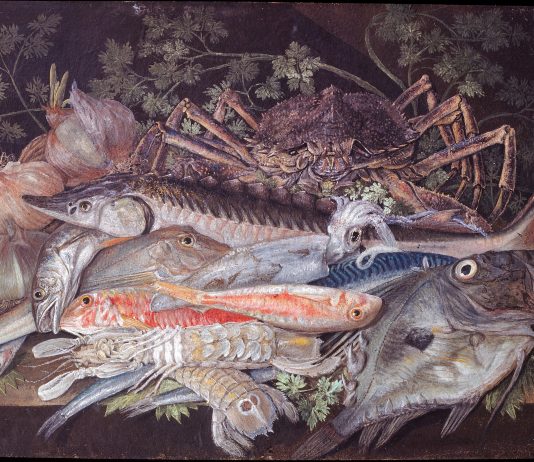 L’incanto del vero: a Modena un prezioso itinerario attraverso le principali Scuole artistiche e correnti emiliane-romagnole tra Sei e Settecento