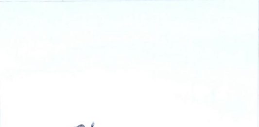 Artists 4 Refugees: a Roma, 13 artisti in mostra a favore dei rifugiati