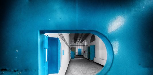 Festival Connexxion, installazioni d’arte contemporanea diffuse a Savona