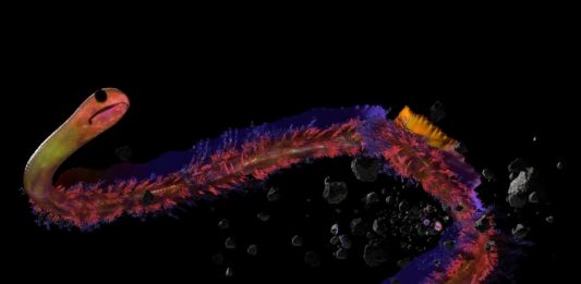 LAS Art Foundation presents Josèfa Ntjam: swell of spæc(i)es