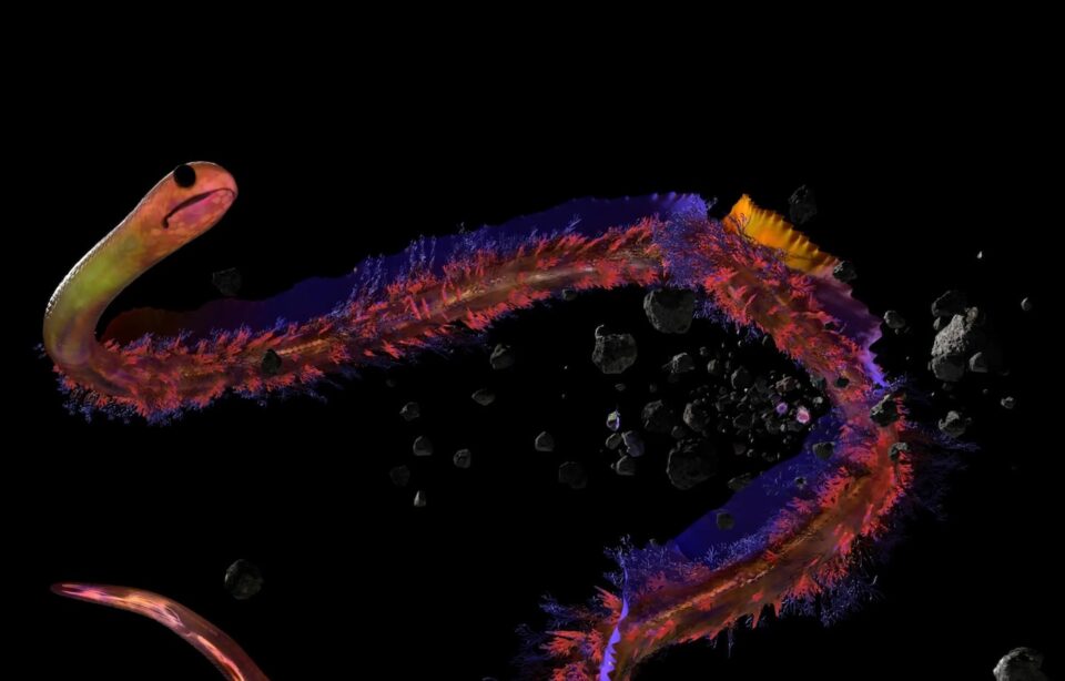 ab31fbd73460da3de0f84bae49bb3985aff3a229-2136x1068.jpg-Kopie-960x614