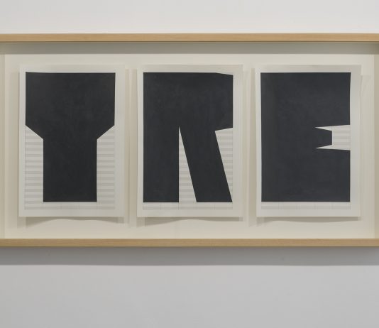 Alessio De Girolamo, l’illusione del linguaggio: la mostra a Lecce