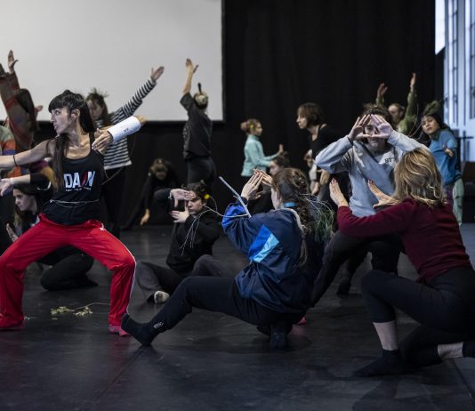 Spring Rolls, il Festival di Primavera a Collegno