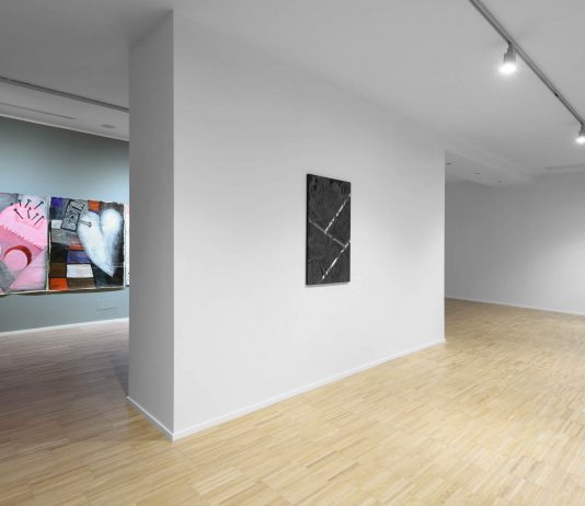 ¡Qué pena! di Josefina Alen e Trama di Martín Fernández alla Galleria Gilda Lavia