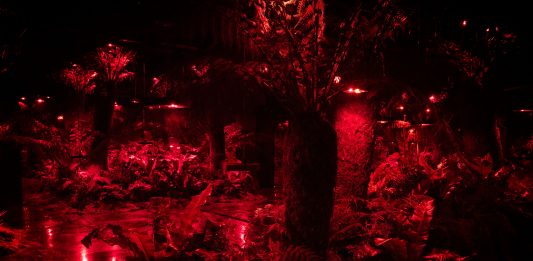 Julian Charrière ha ricreato un giardino primordiale all’interno della galleria Perrotin di Parigi