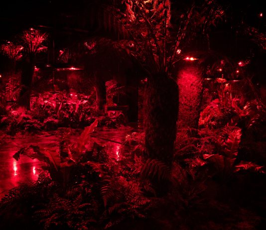 Julian Charrière ha ricreato un giardino primordiale all’interno della galleria Perrotin di Parigi