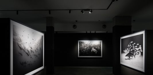 Fotografare la saggezza: gli scatti di Cristina Mittermeier in mostra a Torino
