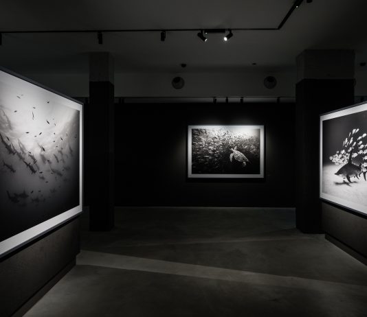 Fotografare la saggezza: gli scatti di Cristina Mittermeier in mostra a Torino